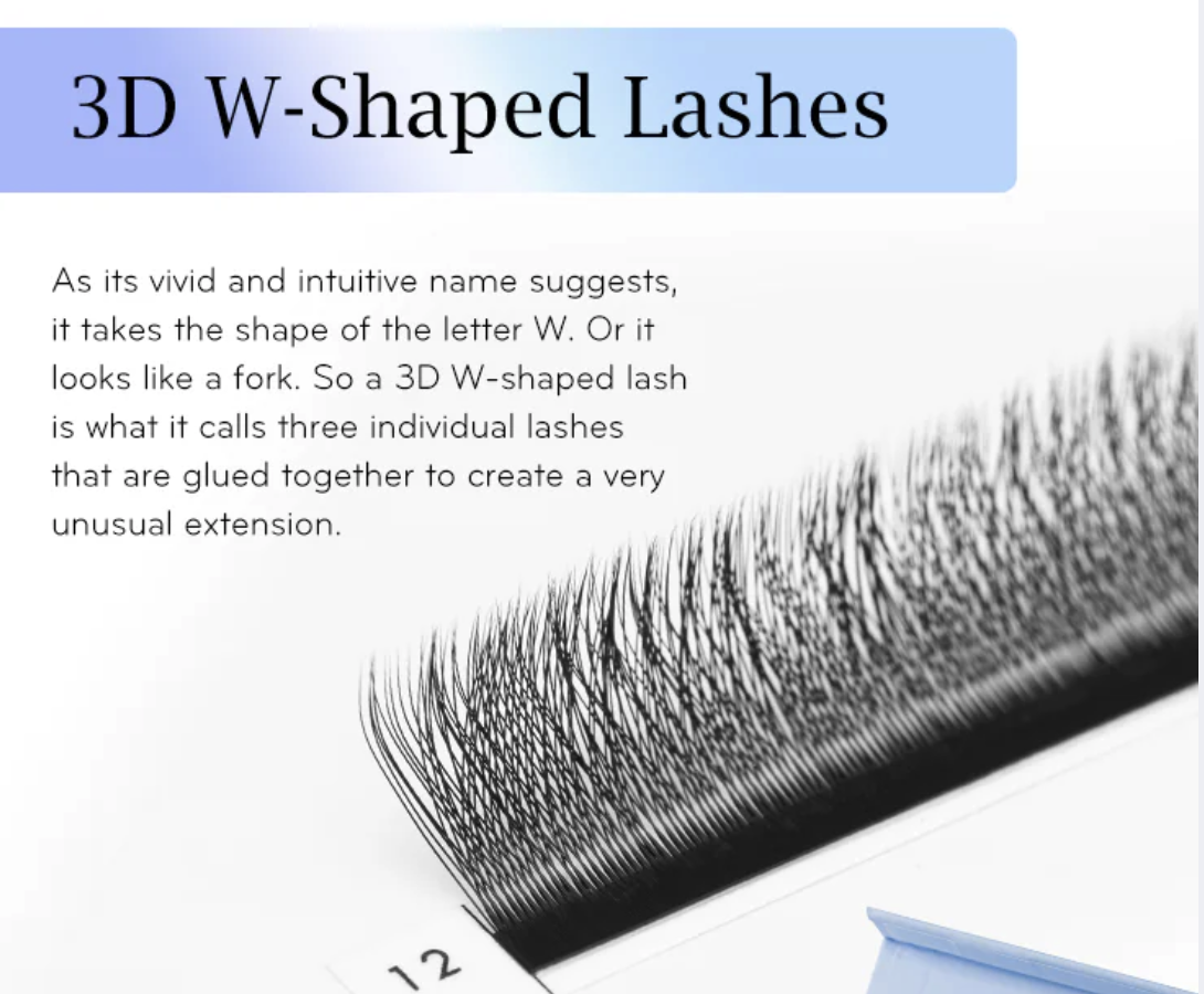 Fairy Lashes (W Shaped)